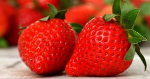 jordbær og sundhed