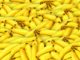 Bananer er gode for maven