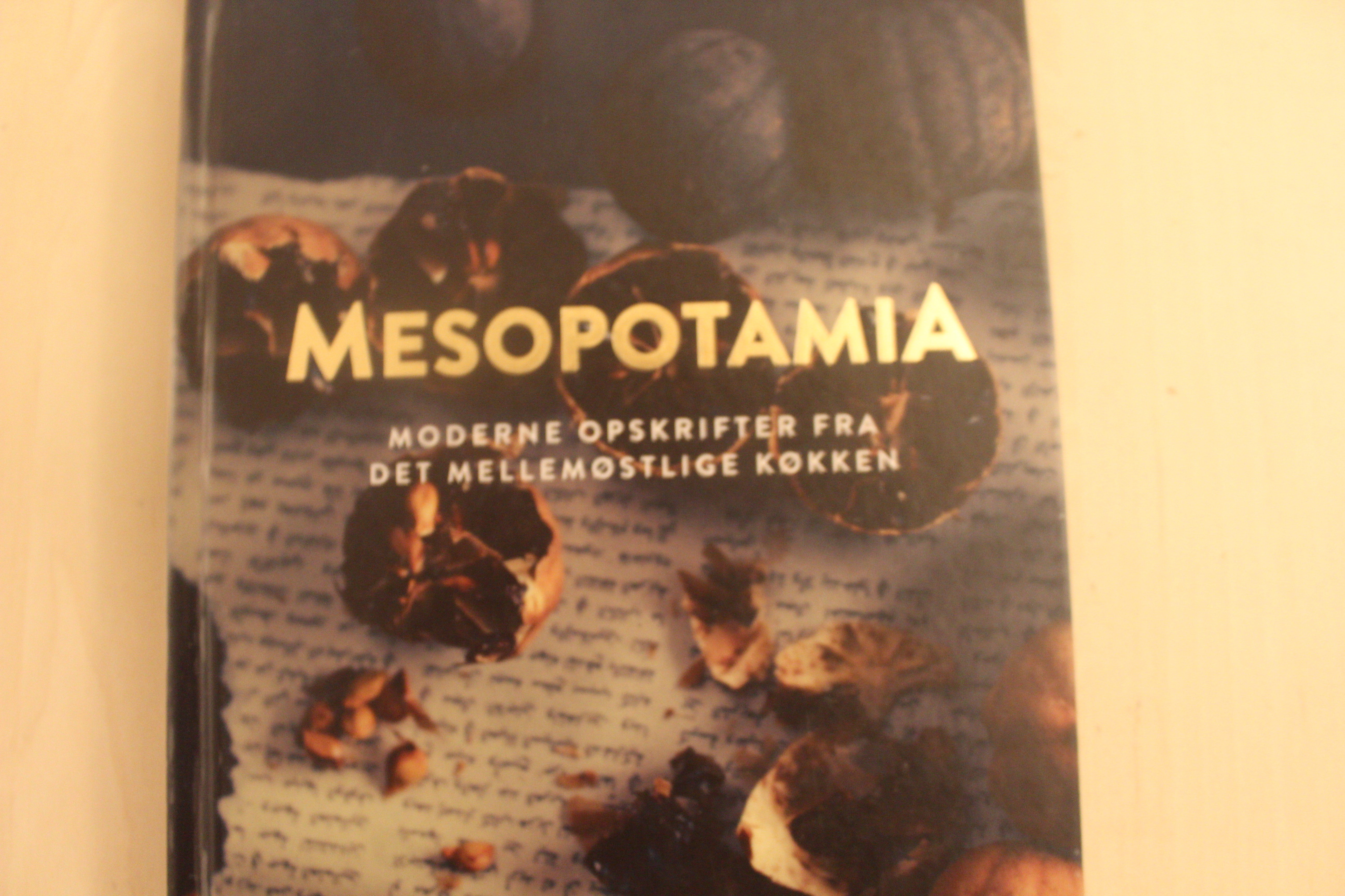 Mesopotamia – Moderne opskrifter fra det mellemøstlige køkken